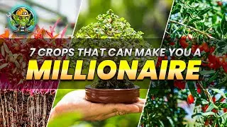 7 High Profit Crops That Can Make You a Millionaire