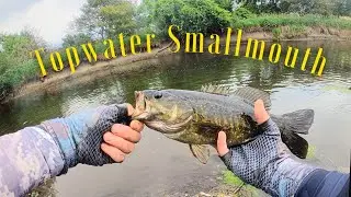 Topwater Smallmouth on the Dupage River