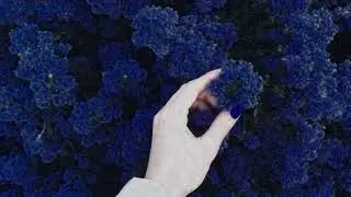 the blackest day- lana del rey (triple layered)