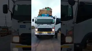 Kongo express #miraa transportation
