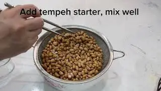 FermentPro Tempeh Recipe