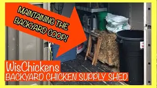 Backyard Chickens Red Door Henhouse: BACKYARD CHICKEN SUPPLIES !