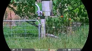 Decreasing the aperture on a DNT Zulus v2 to improve daytime focus