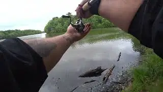 Fishing Blydenburgh Lake for Panfish and Bass (Pre Flood)