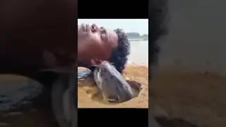 nae nae fish #funny