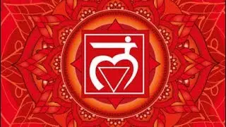 Mulaadhaar Chakra healing affirmations*Root-first chakra balancing*female voice*English selftalk