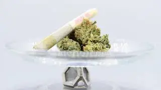 ARK Crystal Charged Weed