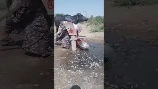 buffalo water drink 😱🤔 #khemavlog