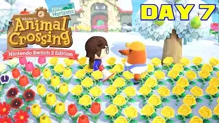 Animal Crossing: New Horizons 3.0 - Day 7 😎Rє&alpha;lƁє&eta;נ&alpha;м&iota;ll&iota;&sigma;&eta;