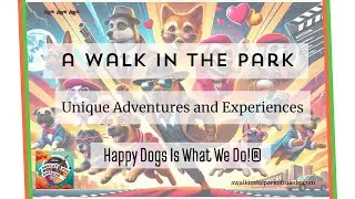 Enrichment and Training Based Dog Daycare by A Walk in the Park&trade;