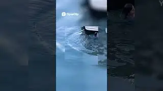 Testing Walmart Straps  Will They Hold This High Performance Boat