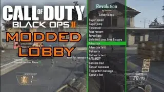 COD Black ops 2 Modded Lobby (Rank up Lobby)