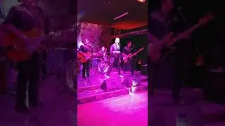 The Rockin Daddys : Tore Up