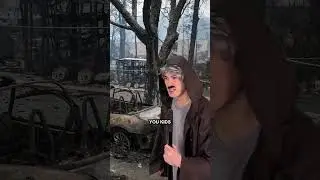 Взрослые поколения Альфа, 2043 год