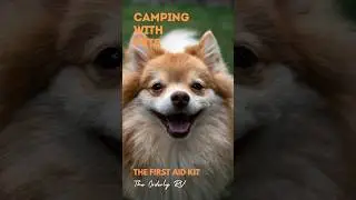 2 First Aid Items You Need for Your Dog #shorts  #rvhacks #rvtravel #rvtravel #rvlife #dog #pets