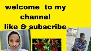 chaltu  you tube  is live wel come family