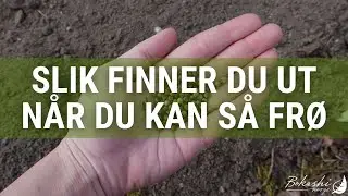 Slik finner du ut når du kan så frø