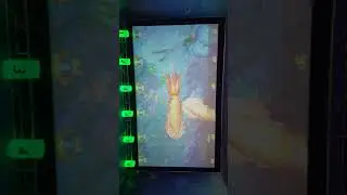Arcade game Deep Sea Fishing with giant catch