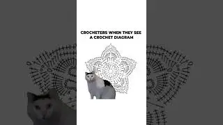 I want to know if you use crochet diagrams or written instructions! Comment your thoughts below 💭