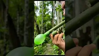 Desi DIY Bamboo Shooter! 🌿💥 Village Craft You Must See #craftergolpo #bamboo #bamboo1 #diy