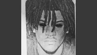 Trap Knight