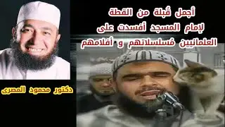 أجمل قُبلة من القطة لإمام المسجد أفسدت على العلمانيين مُسلسلاتهم و أفلامهم  --  دكتور محمود المصرى