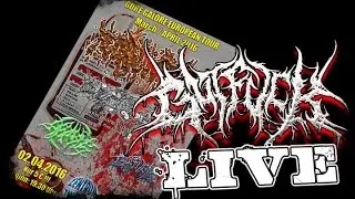 Gutfuck LIVE @ Gore Galore European Tour - Zinsholz - 02.04.2016 - Dani Zed - Abrasive