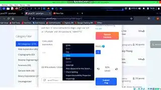 Magikarp ground mission walkthrough | PICO CTF