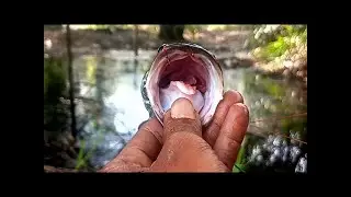 Spot mancing tegek aduhaii ini pak ❗❗❗ #aghafishingtrip