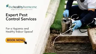 Protect Your Home with Premium Pest Control Services