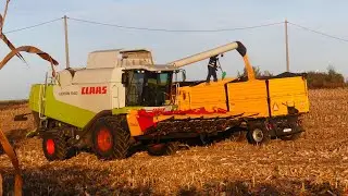 Nowy Nabytek w Akcji ☆ Kukurydza Na Ziarno 2023 ☆GR Sadłowski ☆ Claas Lexion 540 ☆