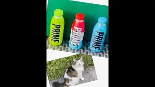 Prime Prime Prime Blind Taste Test