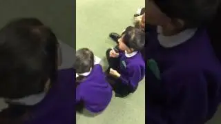 Year 4 Peach Balanced Argument Fox