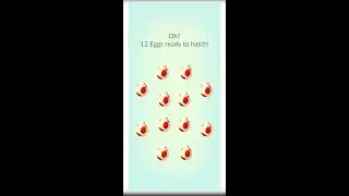 Hatch 12Km Eggs - Pokemon Go 2022 #shorts #pokemongo