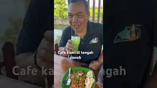 Cafe sawah di desa tanjung mulia batubara sumatera utara
