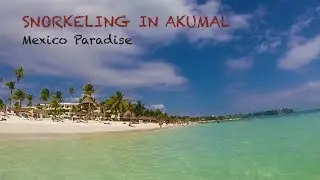 Mexico: Snorkeling with turtles and Sting Rays in Akumal