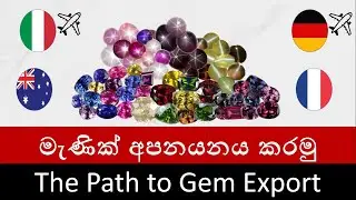 නිවැරදිව මැණික් අපනයනය කරමු | Let's export Sri Lankan Gems | Gem Export Vlog