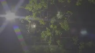 Bad Blood - Wayfinding - Official Music Video