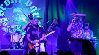 SataDaze - Pleasure To Meet You (Live at Scout Bar)