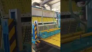 EGG TRAY MANUFACTURING PLANT