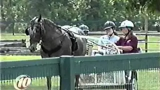 Military Veterans - A Day at the Farm