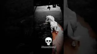 HORSE CANT BE SCARY #transformation #trending #edit #trollface #trolledit #memes