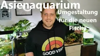 ASIENAQUARIUM UMGESTALTUNG - Vorbereitung f&uuml;r ein neues spannendes Projekt!