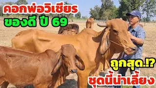 ของดี‼️ต้อนรับปีใหม่ คอกพ่อวิเชียร ถูกสุดๆชุดนี้น่าเลี้ยง รีบชมเลย