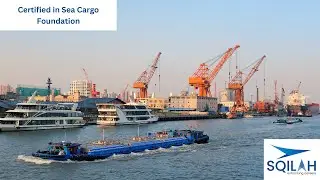 Master Sea Cargo Operations through specialized course by Sqilah
