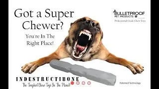 Review: Indestructibone Dog Toy from Bulletproof Pet Products