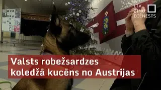 Valsts robežsardzes koledžā kucēns no Austrijas