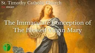 St.Timothy Catholic Church - The Immaculate Conception of The Blessed Virgin Mary