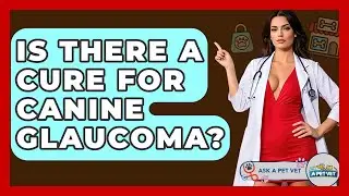 Is There A Cure For Canine Glaucoma? - Ask A Pet Vet