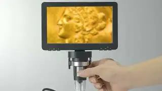 Hayve 7&lsquo;&rsquo; Digital Microscope 1200X Zoom 12MP HD Electronic
